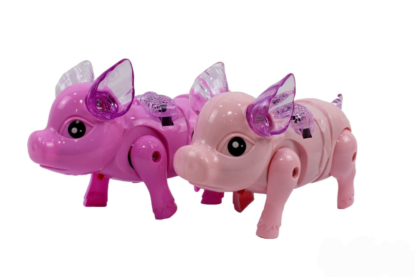 051 cerdo luz y sonido