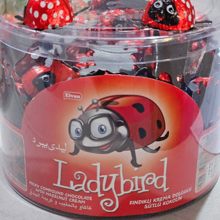 Chocolate ladybird