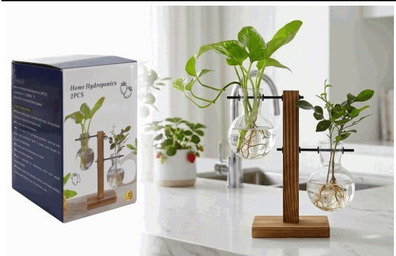 RECIPIENTE DE VIDRIO PARA PLANTAS