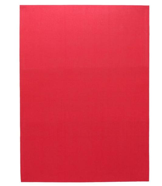 FOAMY PLIEGO LISO 50*70cm 5pcs