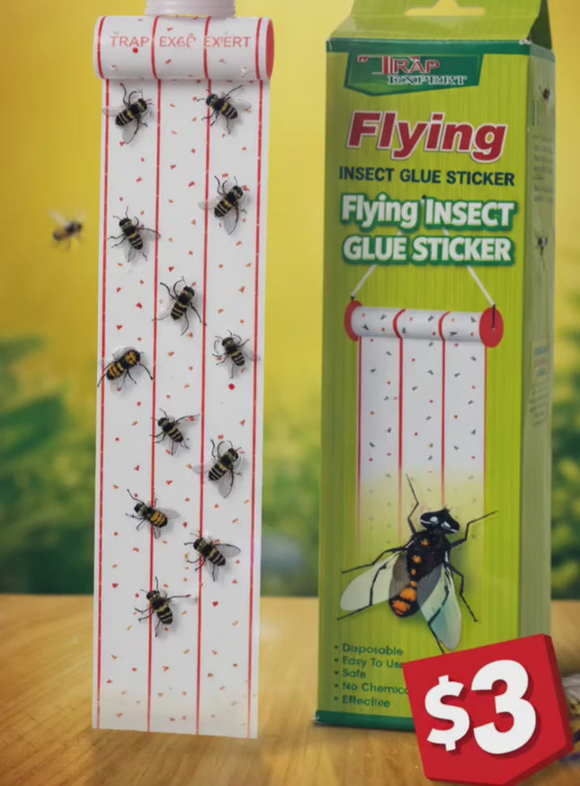 Atrapa insectos