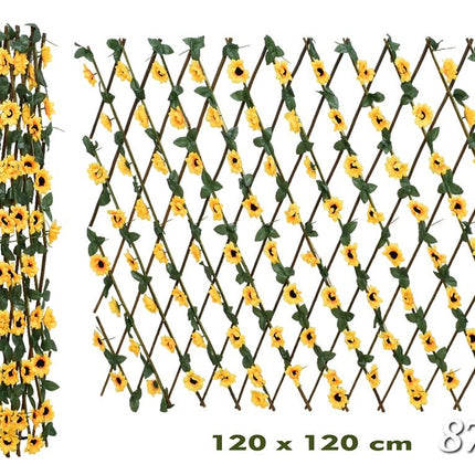 Cerca girasol
