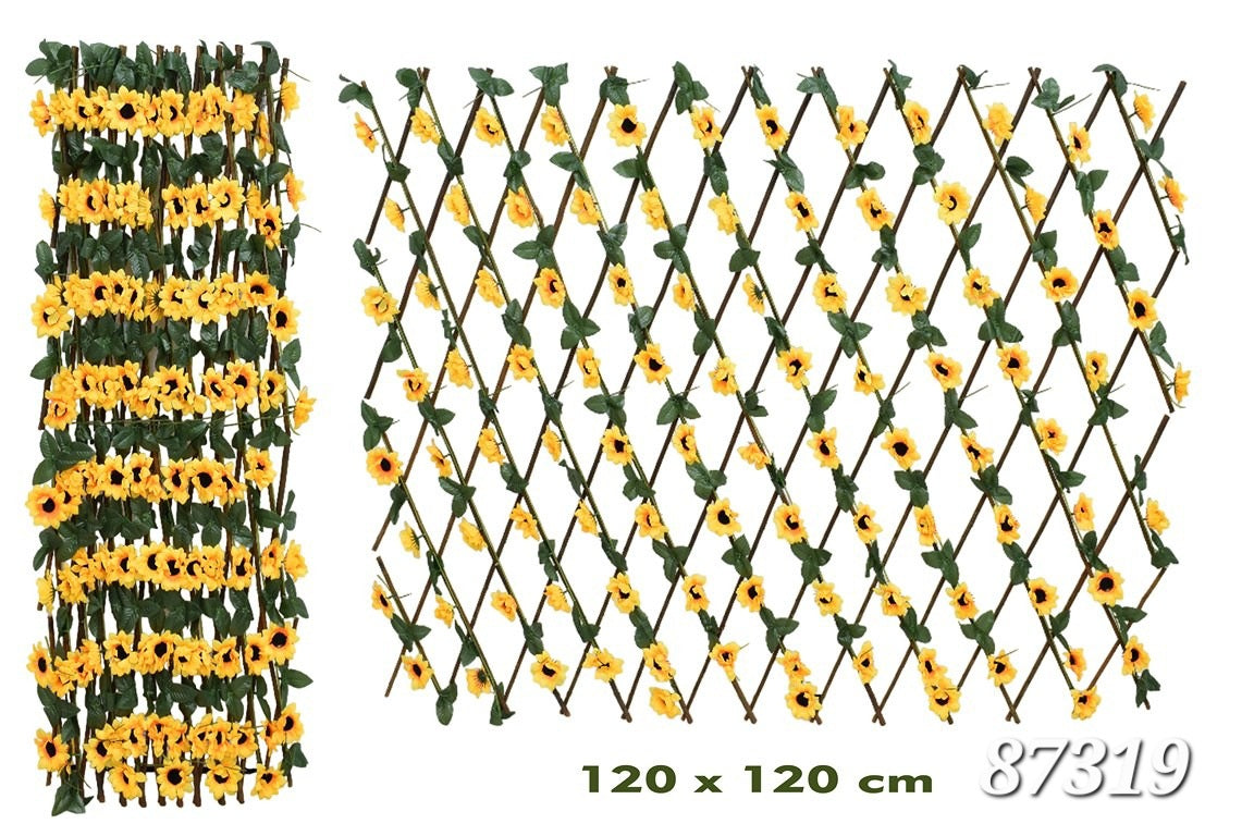 Cerca girasol
