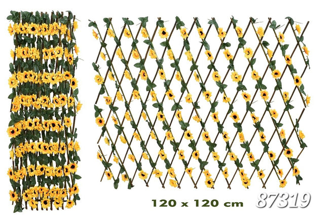 Cerca girasol